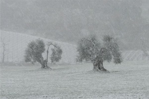 Xtrallusion photo gallery of Italy. Photos, pictures, images and photographs of the Italian Rivieras, the Italian Lakes, the Italian Alps, the Cinque Terre, the Amalfi coast and some of the most beautiful corners of Italy. Plus photos of Italian cities such as Pisa, Milan, Genoa and Rome.